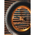 Apoyii Moonwalker Tora Balance Bicycle Apoyii Moonwalker Tora Balance Bicycle